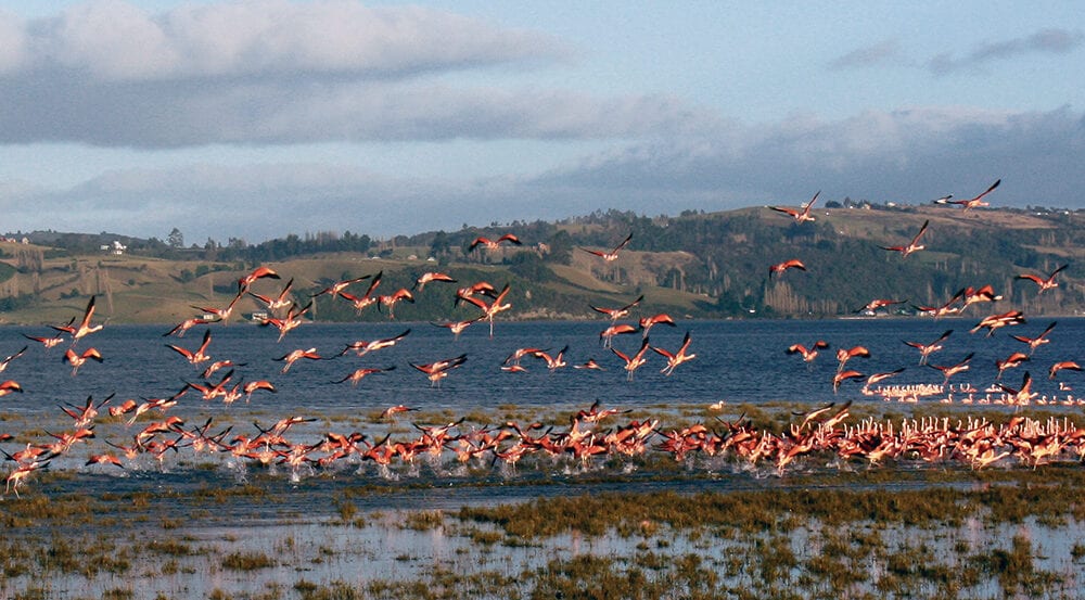 Santuario de la Naturaleza Putemún