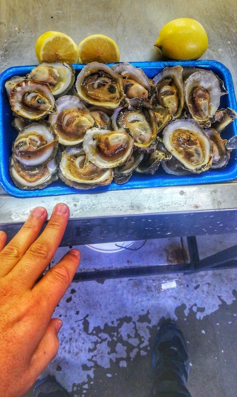 Ostras frescas Mercado Yumbel